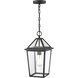Eston 1 Light 8.25 inch Textured Black Outdoor Hanging Lantern